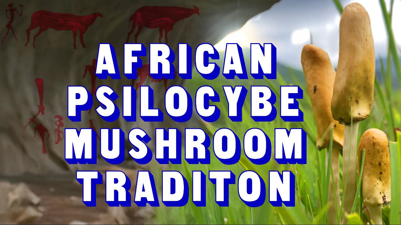 Psychedelic Mushrooms in Africa