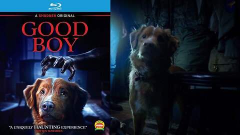Good Boy [Shudder Blu-ray U.S Edition]
