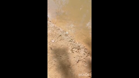 catfishing