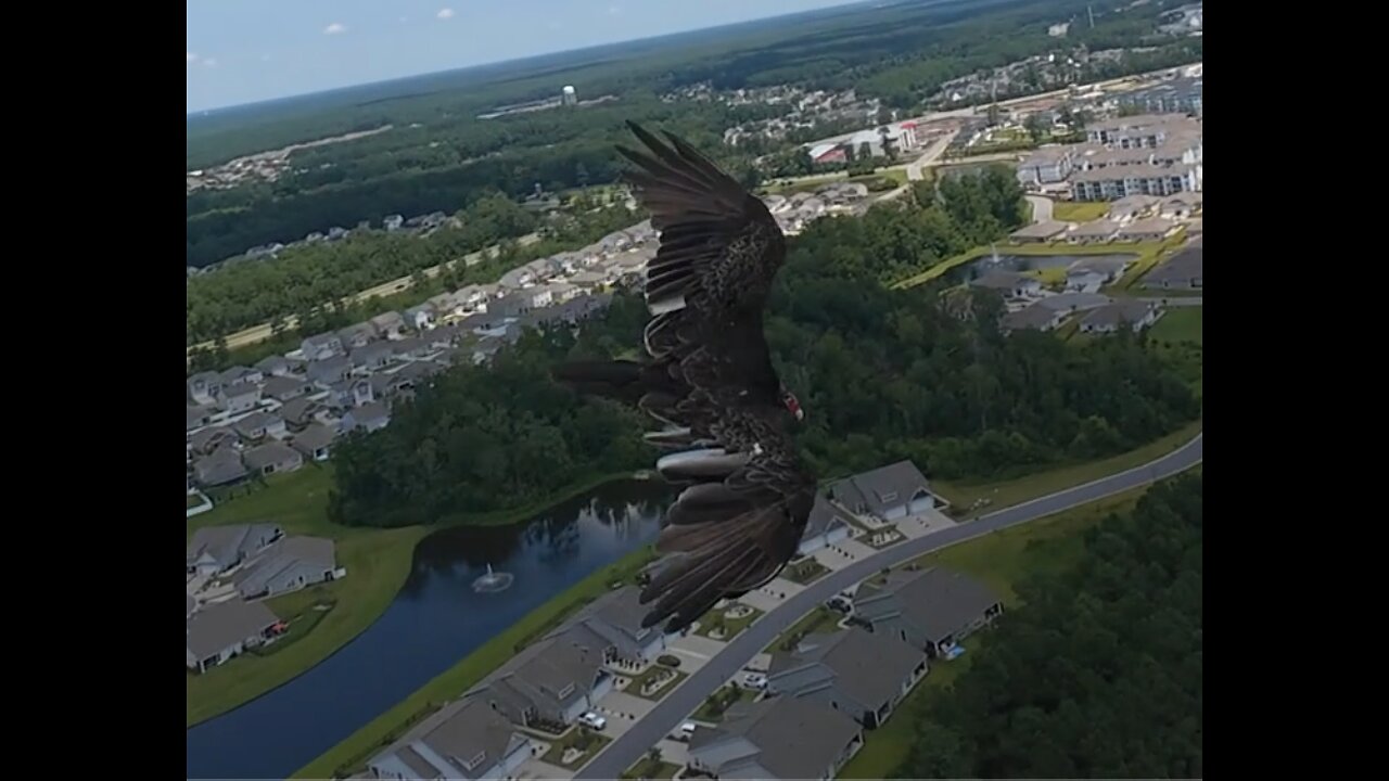 🦅 Too Hot - Kool And The Gang 🦅