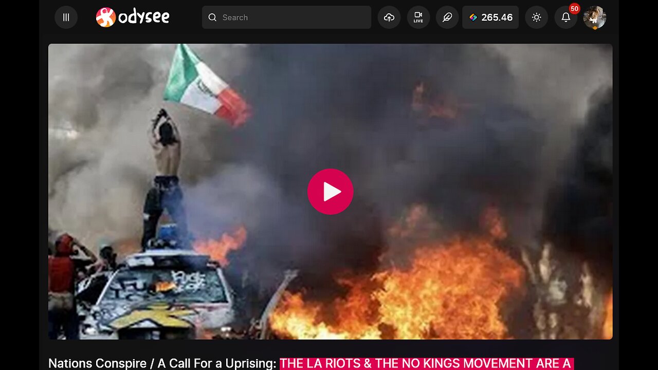 THE LA RIOTS & THE NO KINGS MOVEMENT ARE A GOVERNMENT OPERATION FOR PALANTIR DIGITAL SURVEILLANCE!