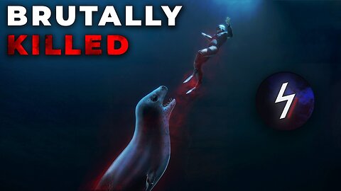 Worst Leopard Seal Attack in History - Kirsty Brown Incident_