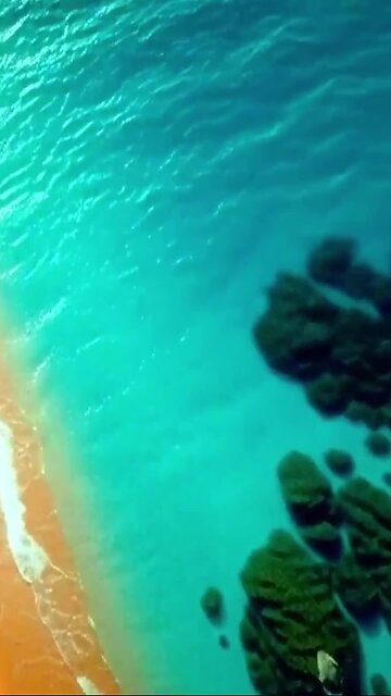 Upbeat Hawaiian Reggae: The Ultimate Tropical Dance Playlist