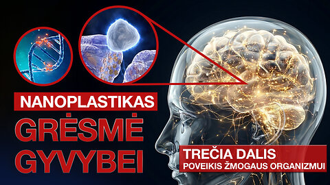 Nanoplastikas. Grėsmė gyvybei 3 dalis | Poveikis žmogaus organizmui