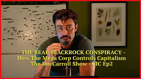 THE REAL BLACKROCK CONSPIRACY - How The Mega Corp Controls Capitalism