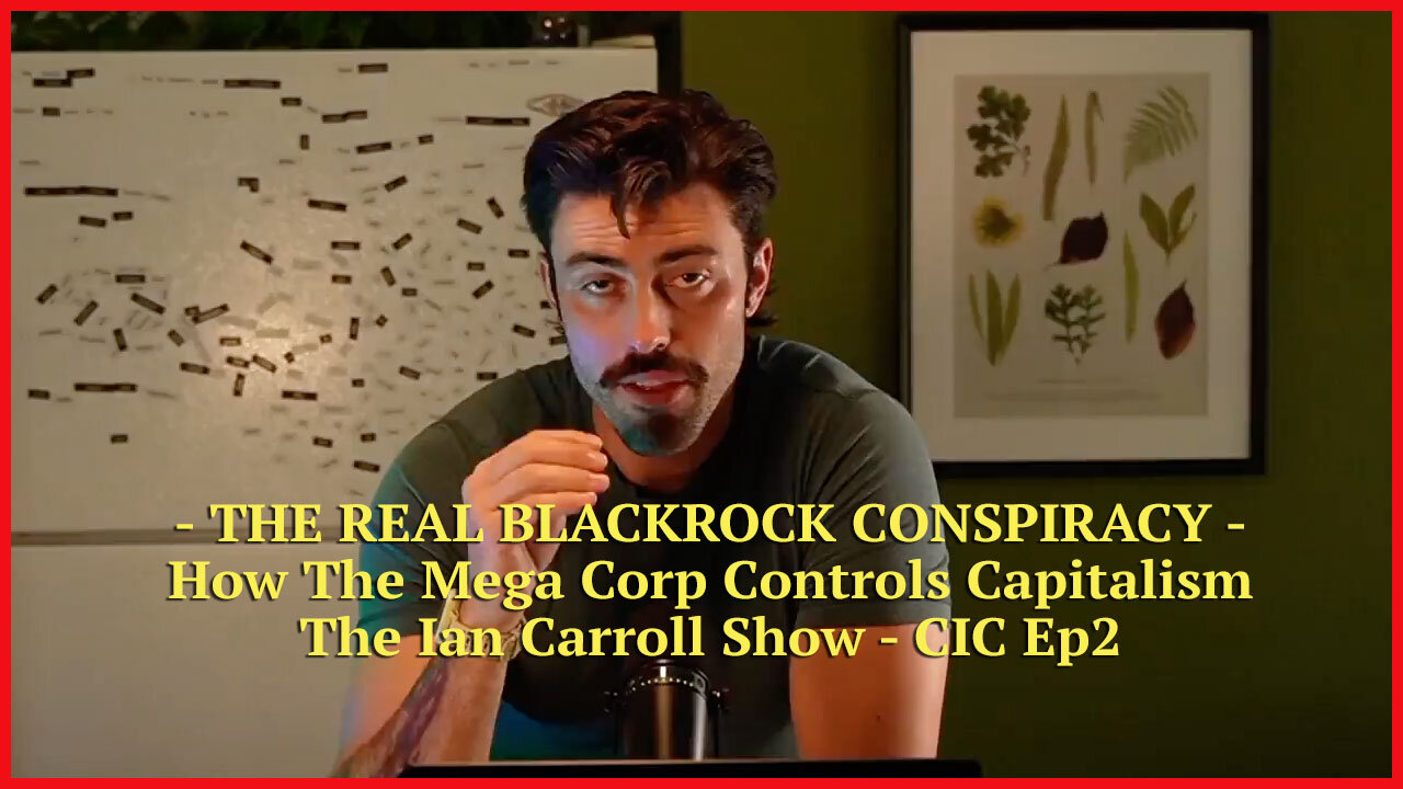 THE REAL BLACKROCK CONSPIRACY - How The Mega Corp Controls Capitalism