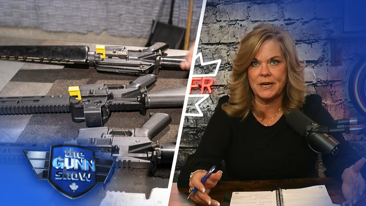 Expect Liberals to continue gun grabs if elected again: Tracey Wilson