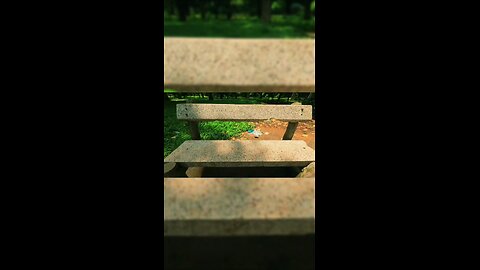 This Empty bench is waiting for Gulbahar..❤️ #ramna