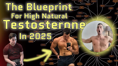 The 6 Pillars Of High Natural Testosterone
