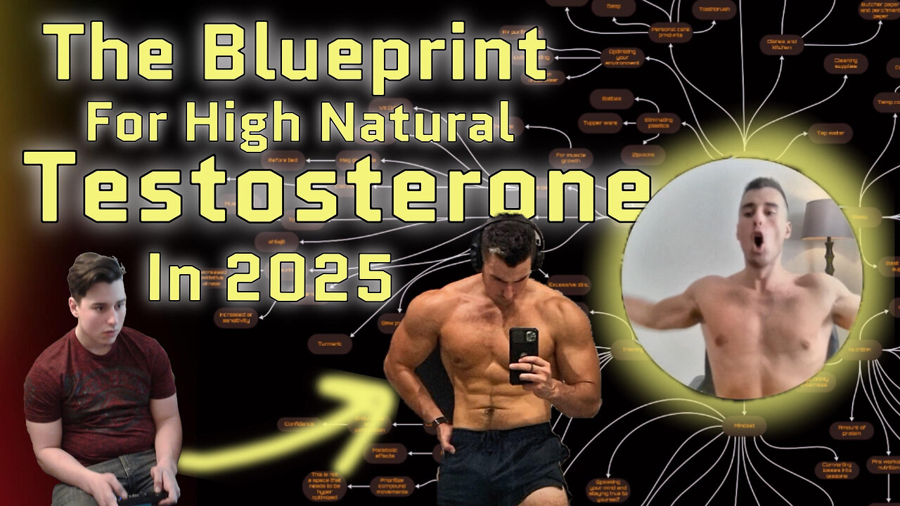 The 6 Pillars Of High Natural Testosterone