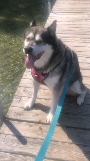 Friday August 16, You alone can heal me: you alone can save