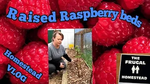 Raised Raspberry Beds