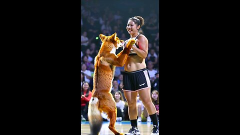 World's Tallest Fox Dancing
