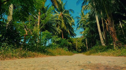 cinematic Colourgrading #09
