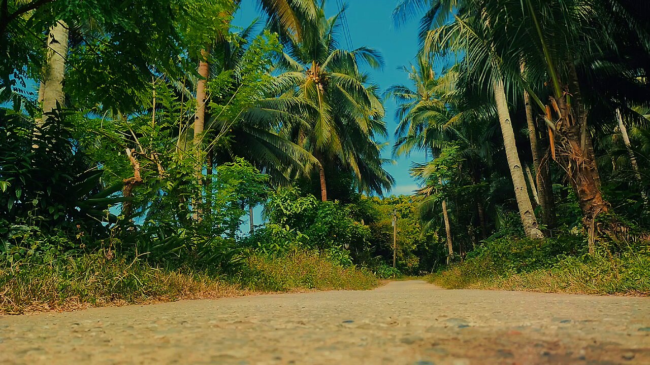 cinematic Colourgrading #09