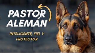 🐕 Pastor Alemán: El perro más inteligente y leal del mundo 🐾 | Todo lo que debes saber