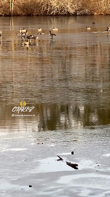 THOSE ANNOYING NEIGHBORS ON A HOLIDAY MORNING!