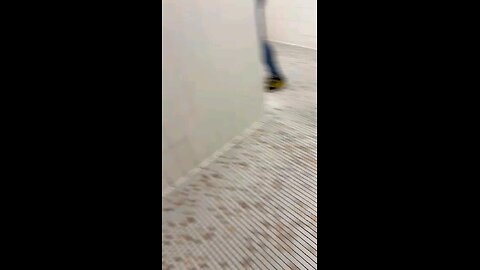 school fight