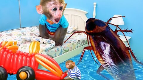 Funny bonmonkeykiki nice moment in this video|| Rumbel animalht moment video!!.