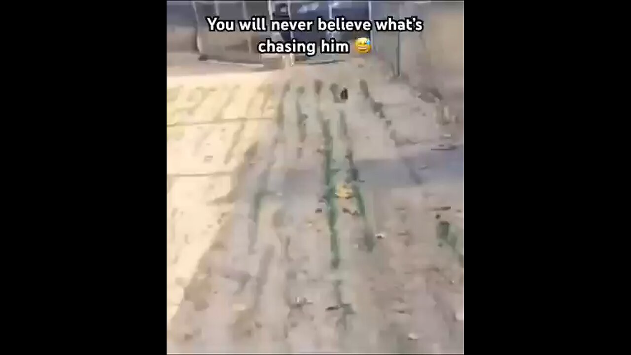wait till the end