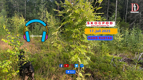 Skogpod 17. juli 2025