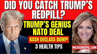 Melissa Redpill HUGE Intel Aug 20: "Trump's Redpill Drop! Genius Nato Deal, Declass"