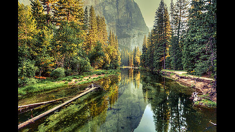 BRIAN DAVIDSON - Flight MH370: The Black Magicians and Super Elite