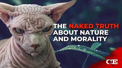 If Nature Is Our Guide, Then Morality Is Lost