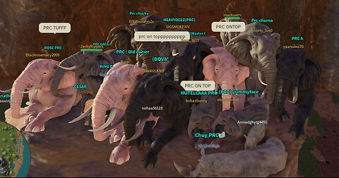 Savannah life with PRC