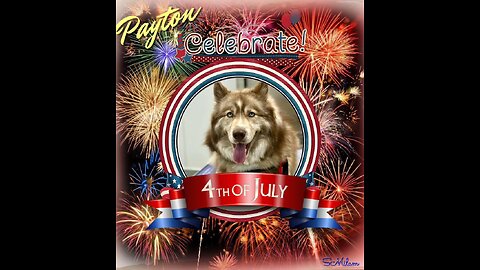 My Husky, My Best Friend - Independence Day 2025