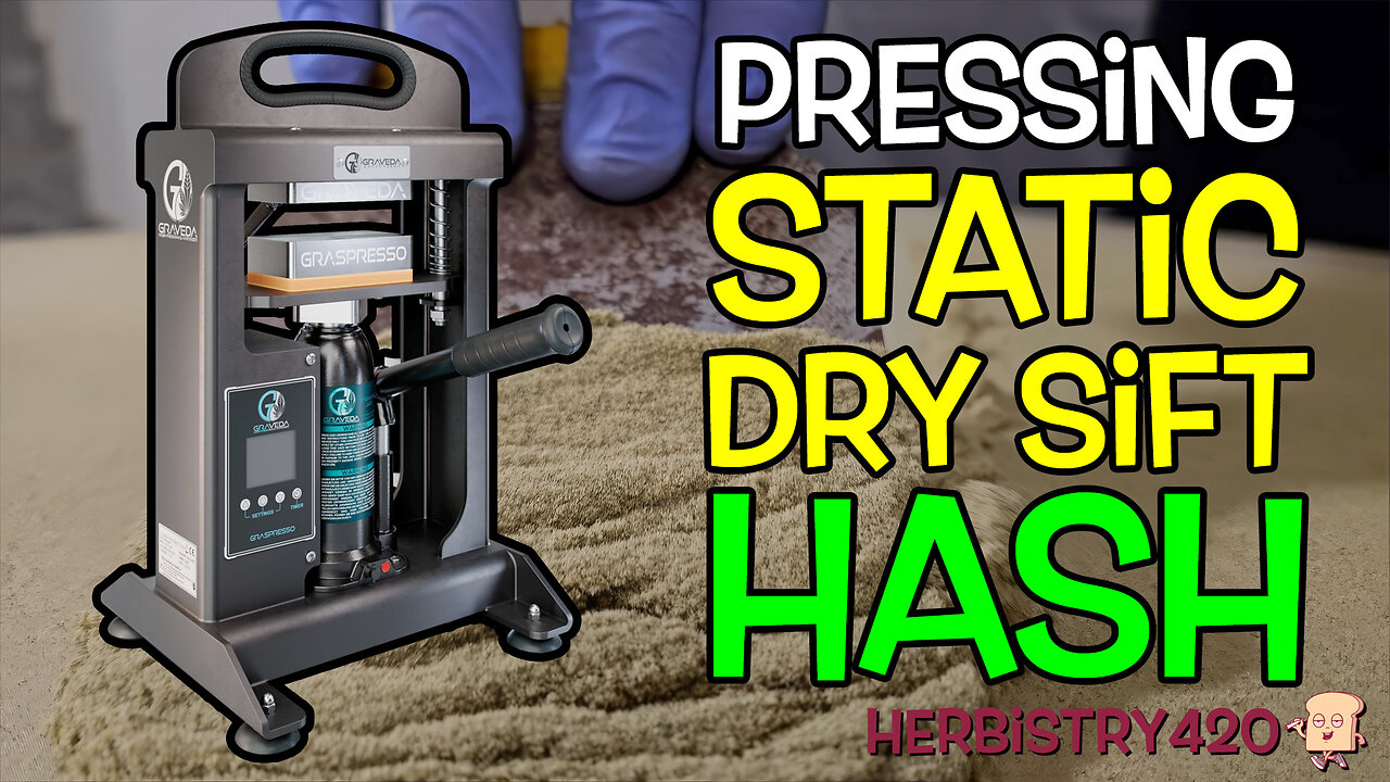 Pressing Static Dry Sift Hash — Why Humidity is the Hidden Key! 🔥💨