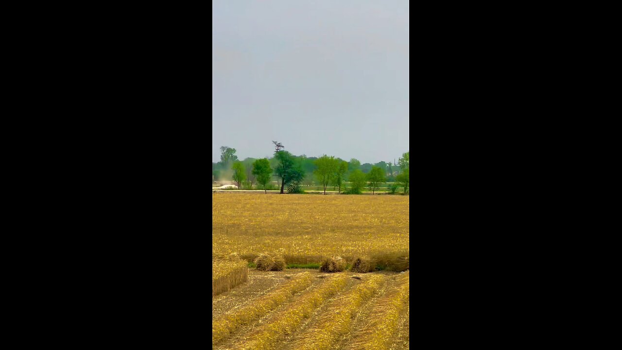 Vibes of A Village