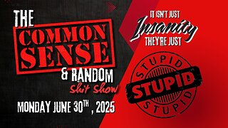 The Common Sense and Random Shit, Show... (They're Just Stupid)
