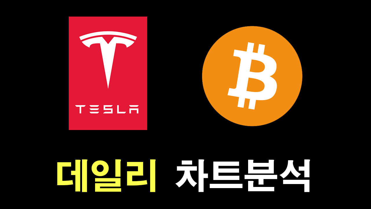 오늘의 테슬라, 비트코인 차트분석 #테슬라 #비트코인