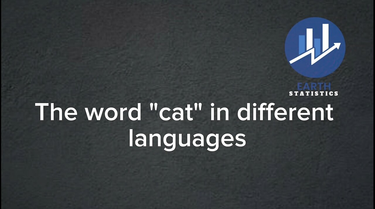The word "cat" in different languages