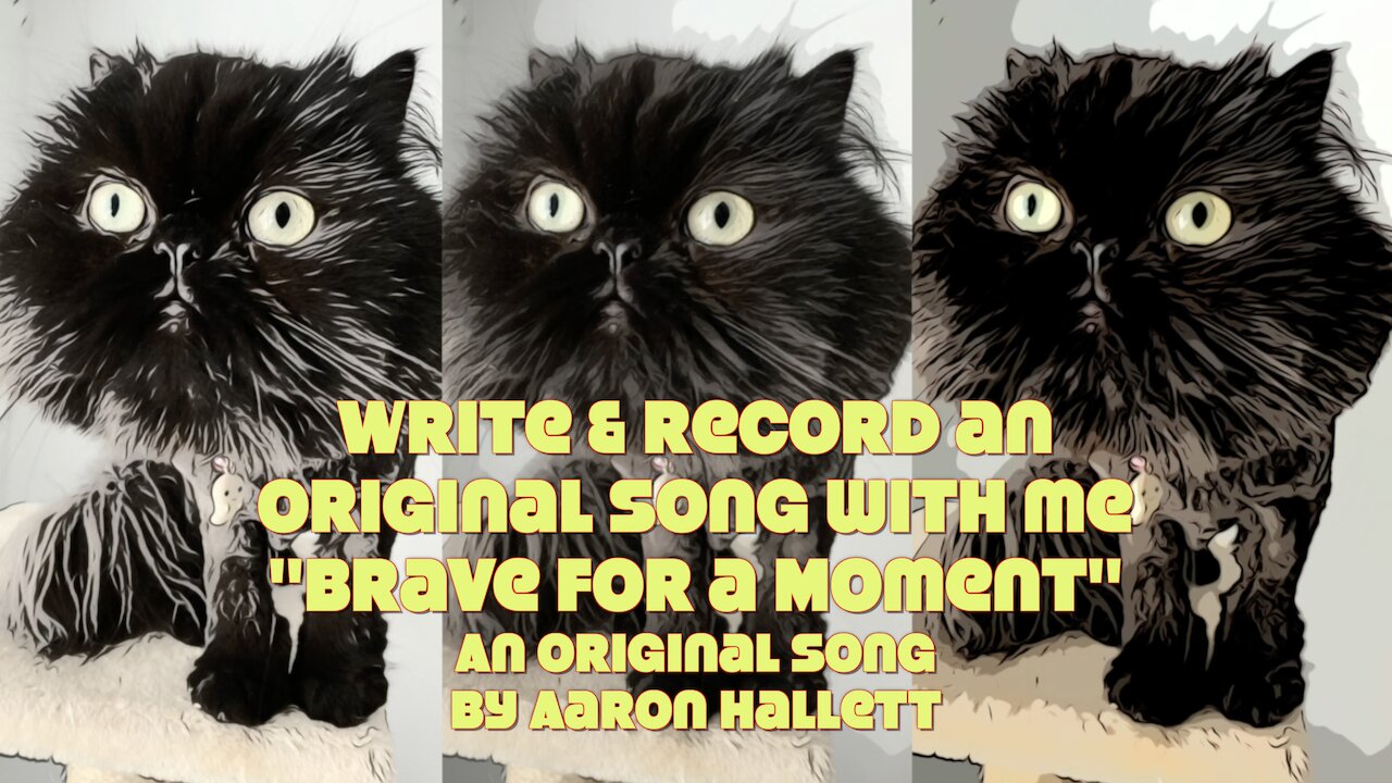 Write & Record an Original Song With Me "Brave For a Moment" an Original Song by Aaron Hallett