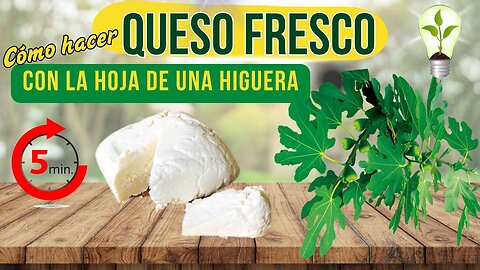 Cómo hacer queso fresco con una hoja de higuera!