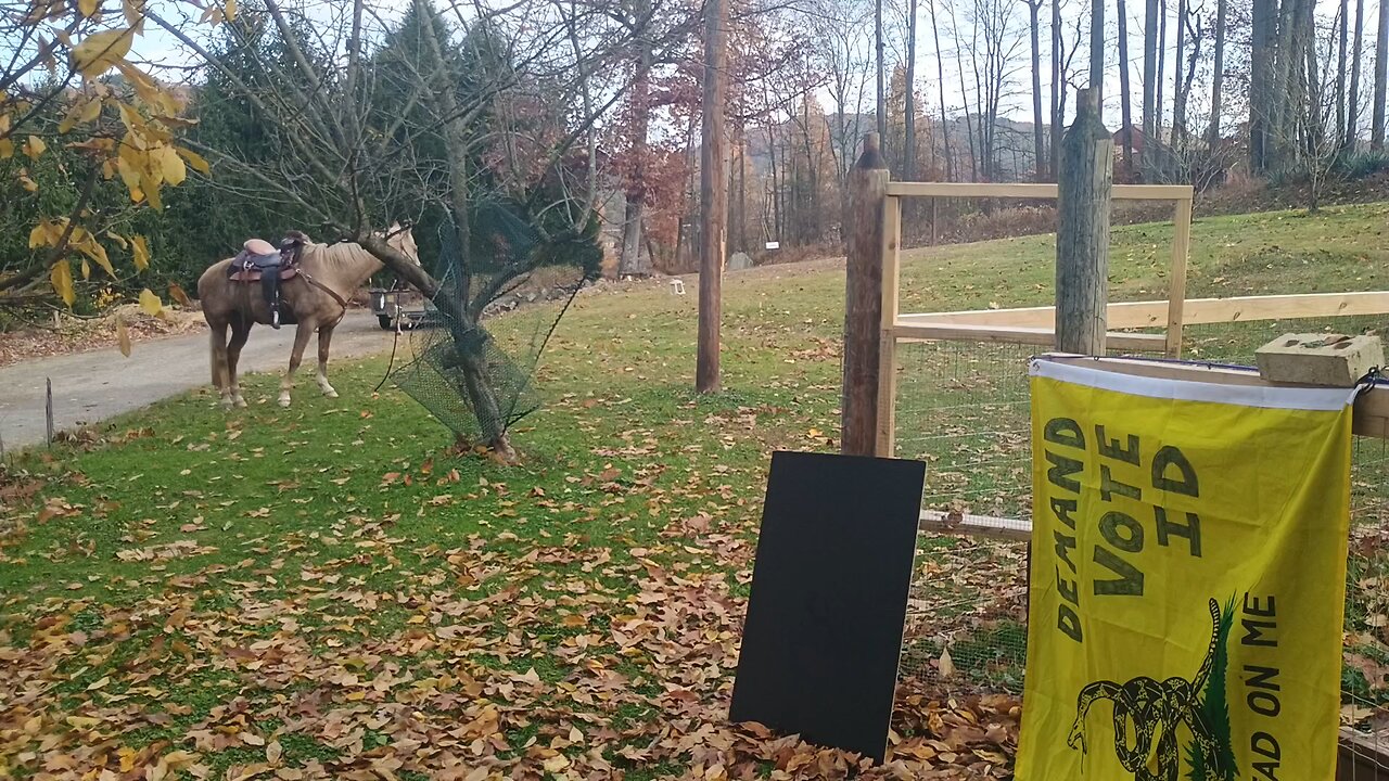 Ep 16, Shrinking Democracy