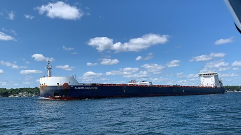 Not Train but still carries freight
