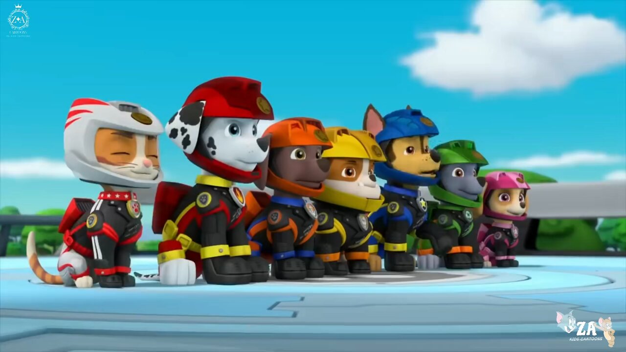 PAW Patrol Cartoons