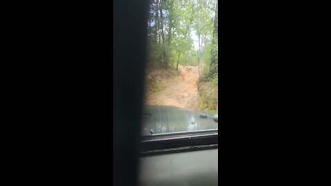 Mobile Swamp, Chipley, Fl. 06/20/25