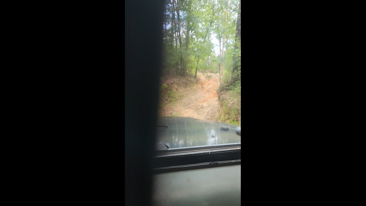Mobile Swamp, Chipley, Fl. 06/20/25