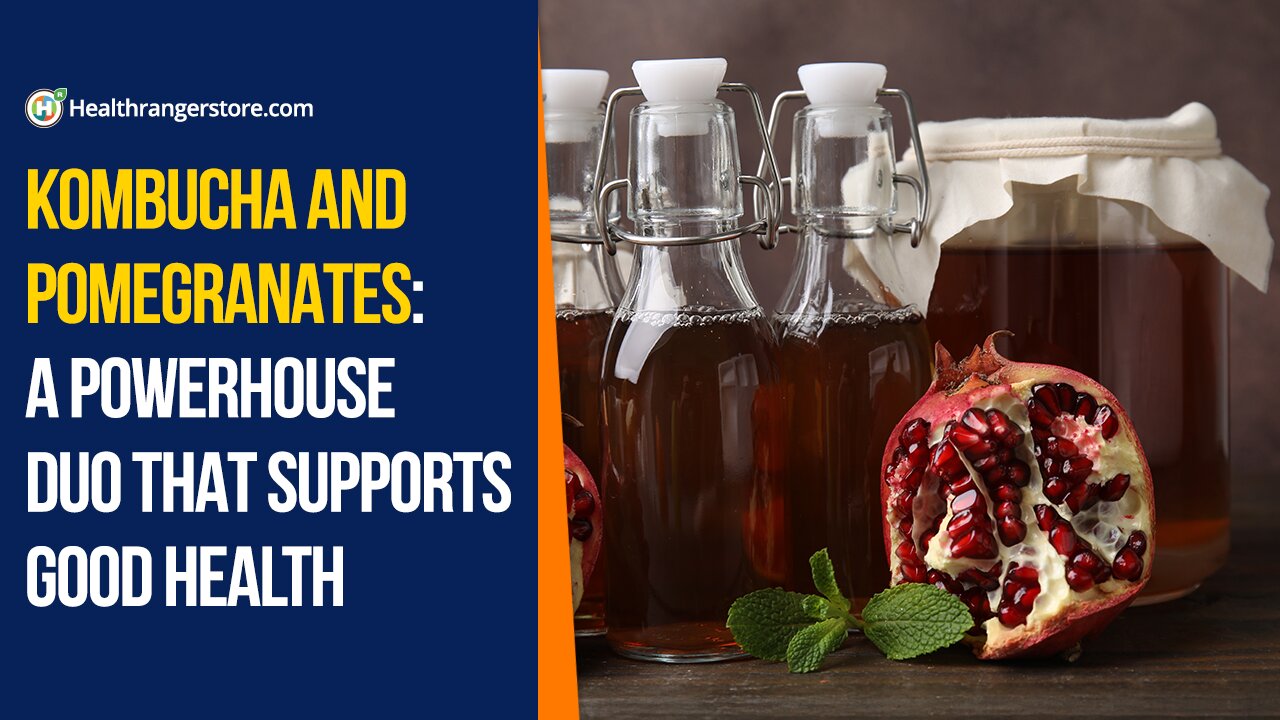 Kombucha and Pomegranates: A powerhouse duo that supports good health