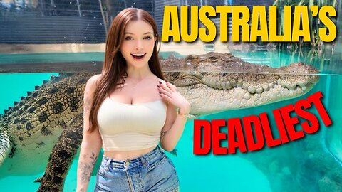 Close-Up with AUS's Deadliest Predator