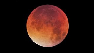 Sinai Monastery Update; More on Blood Moon & WWIII Prophecies - Ep350