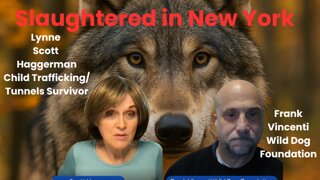Slaughtered in New York 🐺 | The Shocking Truth About Coyote Killings & Government Cover-Ups