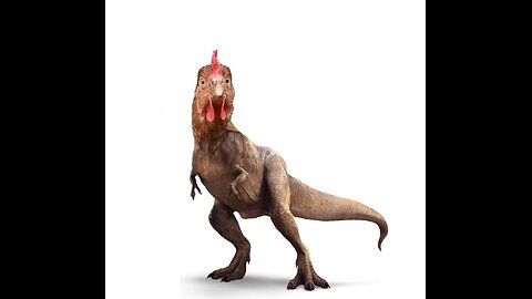 Wat my hoenders my oor God geleer het