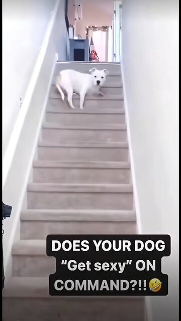 That’s a cool trick