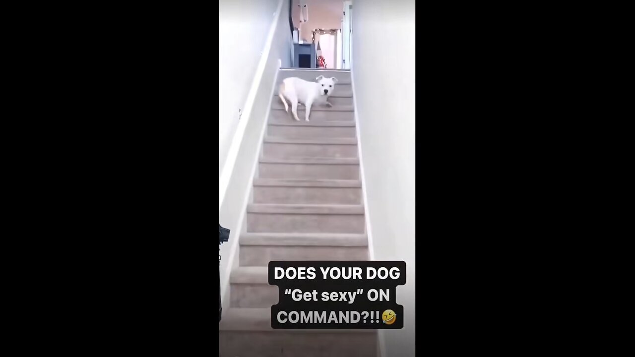 That’s a cool trick