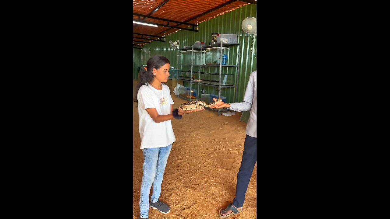 touch the python in banglore #shorts